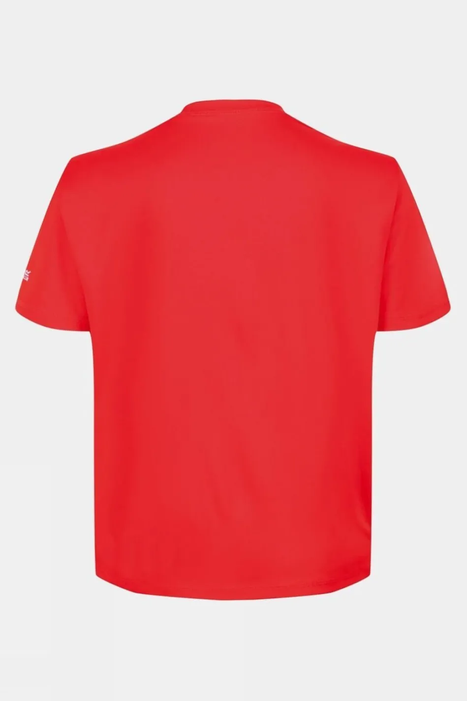 kids-alvarado-vi-tee-14-efhTIYjo-1.webp Clearance Regatta Kids Alvarado Vi Tee 14+