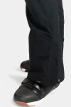 womens-backyard-pant-ski-pants-CZgEaSgB-0.webp