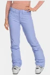 Outlet Roxy Womens Backyard Ski Pants - Regular