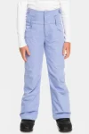 Hot Roxy Youth Diversion Snow Pants 14+